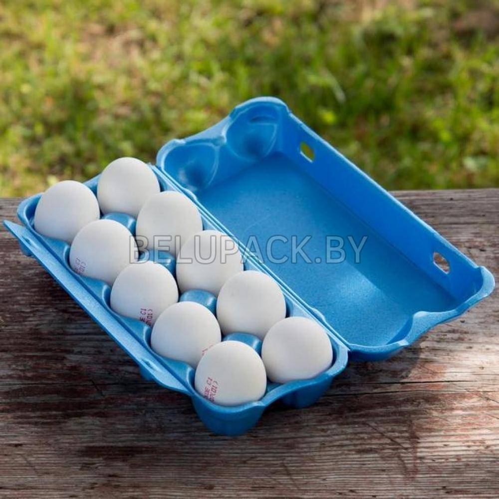 Упаковка для яиц UE-10S АВ синий цвет размеры: 252х107х69